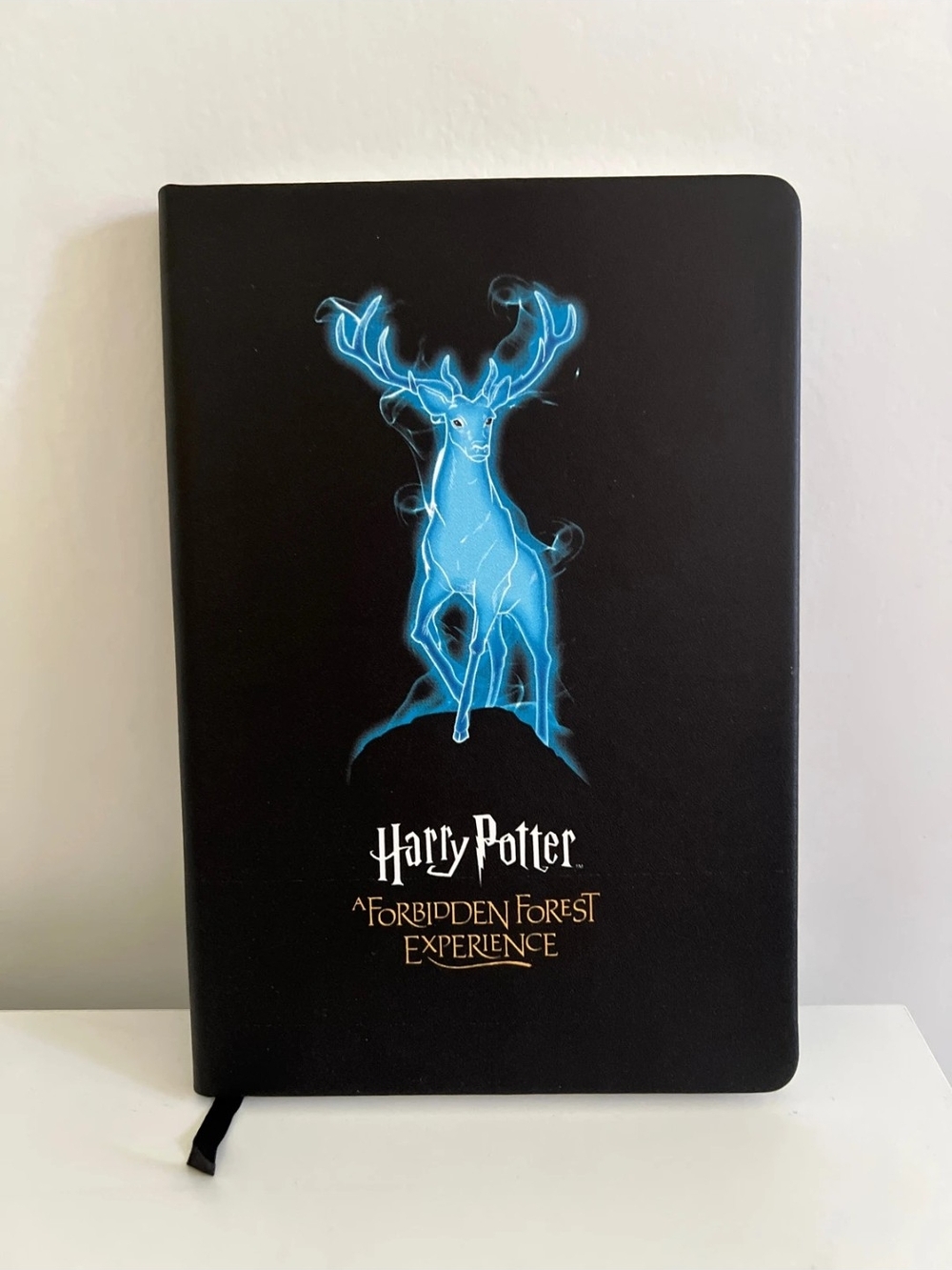 Harry Potter A Forbidden Forest Experience Black Notebook